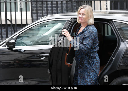 London, 2. Sep 2019. Amber Rudd, MP, Minister für Arbeit und Altersversorgung. Minister, sowie viele Konservative Partei Abgeordnete und ehemalige Politiker alle eingeben Downing Street Nr.10 für den Notfall Kabinettssitzung, später allgemein Konservative Partei sammeln. Credit: Imageplotter/Alamy leben Nachrichten Stockfoto