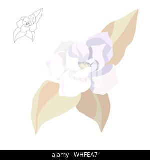 Magnolia - Baum Blume auf weißem Hintergrund. Contour Silhouette einer blühenden Zweig. Vector Illustration Stock Vektor