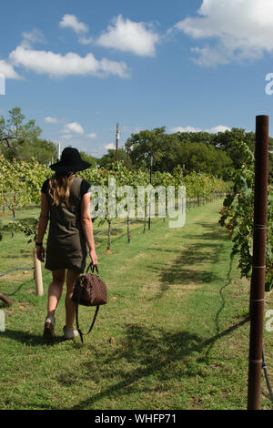 Frau zu Fuß durch die Weinberge in Texas Wein Land Fredericksburg Stockfoto