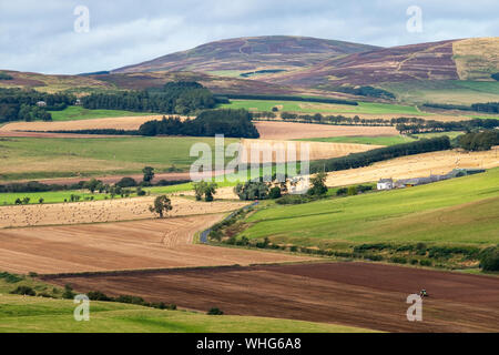 Blick auf Ackerland in der Nähe von Longformacus, Berwickshire, Scottish Borders. Stockfoto