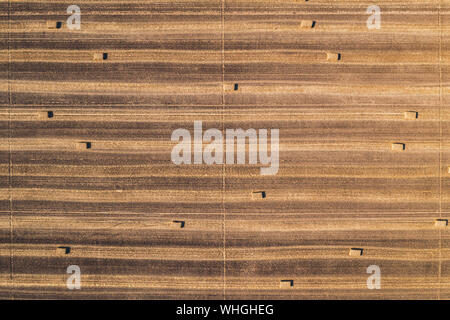 Luftaufnahme von Square Heuballen in Feld nach Weizen von Drone pov Ernte, direkt über dem Feld zur Kontrolle der Schnitthöhe Stockfoto