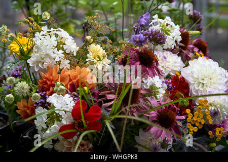 Frisch Blumen für den Verkauf geschnitten Stockfoto