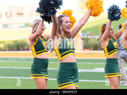 31. August 2019: Baylor Bears Cheerleader ausführen, bevor die NCAA Football Spiel zwischen Stephen F. Austin Holzfäller und der Baylor Bären an McLane Stadion in Waco, Texas. Matthew Lynch/CSM Stockfoto