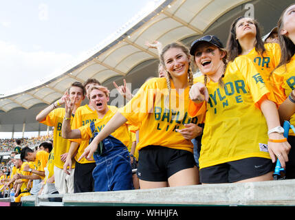 31. August 2019: Baylor Bears Studenten während der ersten Hälfte der NCAA Football Spiel zwischen Stephen F. Austin Holzfäller und der Baylor Bären an McLane Stadion in Waco, Texas. Matthew Lynch/CSM Stockfoto