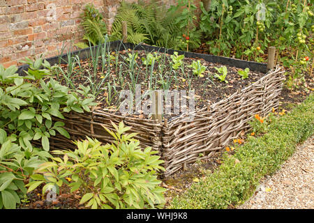 Ein angehobenes Bett von gewebten Willow in der Küche Garten von einem alten Landhaus umgeben. Stockfoto