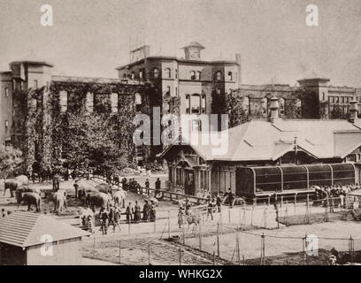 Alte Arsenal und Zoologische Gärten - Central Park, New York City, ca. 1891 Stockfoto