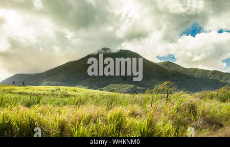 Der Vulkan Mount Liamuiga auf St. Kitts, in der Karibik