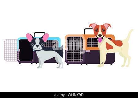 Hunde und Pet Transport boxen auf weißem Hintergrund Stock Vektor