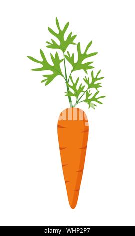 Karotte in einem flachen Design auf einem weißen Hintergrund. Vector Illustration Stock Vektor