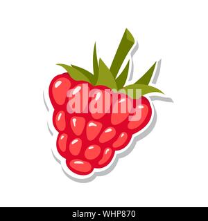 Himbeere. Süße Frucht. Isolierte Beeren auf weißem Hintergrund. Vector Illustration. Stock Vektor