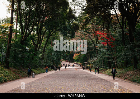 DEC 5, 2019 Tokyo, Japan - Meiji Jingu-Schrein forest park mit Touristen zu Fuß auf große Straße unter großen Bäumen - Tokyo Green space Stockfoto