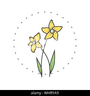Narzisse Blume. Logo für Spa und Schönheitssalon, Boutique, organische Shop, Hochzeit, floral Designer, Innenarchitekten, Fotografie, Kosmetik. Botanische floral Stock Vektor