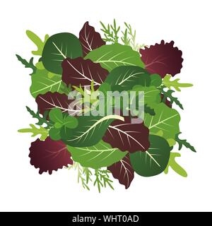 Mischung aus Salatblättern. Rucola, Spinat und Kopfsalat Blatt. Vector Illustration im flachen Stil. Stock Vektor