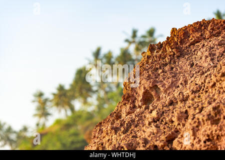 (Selektive konzentrieren, auf den Vordergrund Focus) einen atemberaubenden Blick auf die Felsformationen mit einem grünen Palmen im Hintergrund, während Sie im Sonnenuntergang verschwommen. Stockfoto