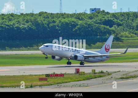 Sapporo, Japan - Jul 3, 2019. JA309J Japan Airlines Boeing 737-800 nehmen - weg vom Flughafen New Chitose (CTS) in Sapporo, Japan. Stockfoto