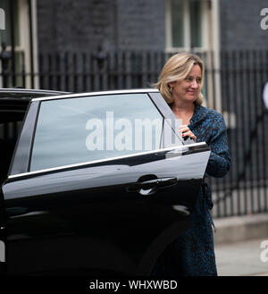 2. September 2019. Amber Rudd kommt in Downing Sreeet für spezielle kabinettssitzung. Sie scheidet aus dem Kabinett am 7. September 2019. Stockfoto