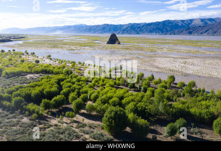 Peking, China. 16. Juli, 2019. Luftbild am 16 Juli, 2019 zeigt die Bäume am Ufer des Yarlung Zangbo Fluss im Südwesten Chinas Tibet autonomen Region gepflanzt. China hat die Vision, die klaren Gewässer und üppigen Berge sind unbezahlbare Werte angenommen und verfolgt ein ganzheitliches Konzept zur Erhaltung der seine Berge, Flüsse, Wälder, Wiesen, Seen und Wiesen. Auf höchstem Niveau, China treibt den Weg in den Bau eines ökologischen Zivilisation. Credit: Purbu Zhaxi/Xinhua/Alamy leben Nachrichten Stockfoto