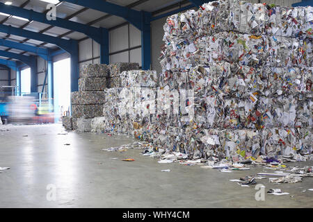 Verdichteter Haufen von paperwaste an Recycling Anlage Stockfoto