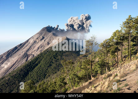 Fuego Volcano Eruption von den Hängen des Vulkans Acatenango, Guatemala gesehen. Stockfoto