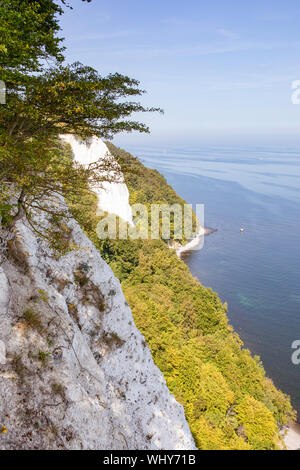 Kreidefelsen auf der Insel Rügen (unter Denkmalschutz stehenden Häusern Rugia). Die deutsche Ostseeküste - UNESCO-Welterbe. Stockfoto