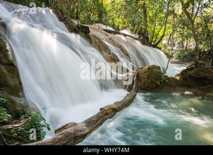 Wasserfälle von Agua Azul, Chiapas, Mexiko. Stockfoto