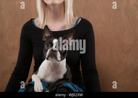 Mittelteil der jungen Frau mit Französische Bulldogge auf ihrem Schoß über farbigen Hintergrund Stockfoto