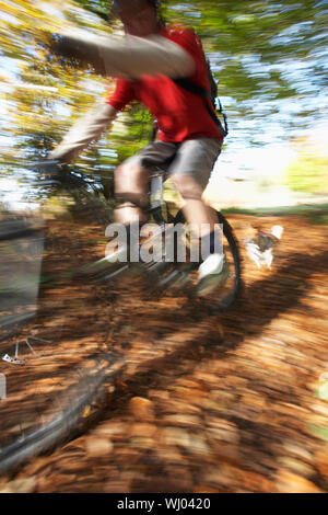 Defocus Image der Hund jagen Menschen auf dem Mountainbike durch den Wald Stockfoto