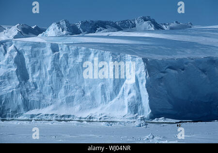 Antarktis, Weddell-Meer, Schelf Larsen-Schelfeis, Eisberg mit Kaiserpinguinen Stockfoto