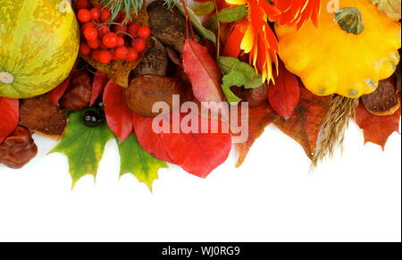 Rahmen der verschiedenen Herbst treibt, Gemüse, Beeren, Pilze, Blumen und Muttern auf weißem Hintergrund. Ansicht von oben Stockfoto