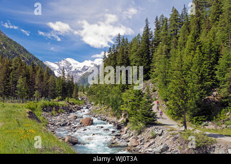 Wanderer Wandern im Nationalpark Gran Paradiso oder Parco Nazionale del Gran Paradiso, mit Blick auf den Torrente Valnontey zu bergen. Stockfoto