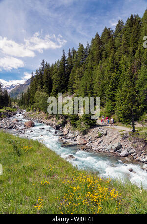 Wanderer Wandern im Nationalpark Gran Paradiso oder Parco Nazionale del Gran Paradiso, mit Blick auf den Torrente Valnontey zu bergen. Stockfoto