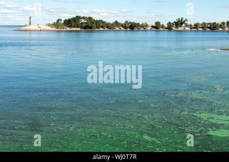 Kunststoff Verschmutzung des Flusses. Grüne Wasser des Flusses. Ökologische Katastrophe. Stockfoto