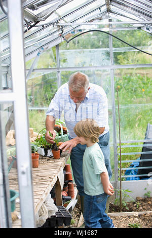 Älterer Mann mit Enkel Pflanzen im Gewächshaus