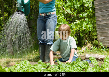 Jungen Gärtnern mit Mutter Bewässerung von Pflanzen in der Zuteilung