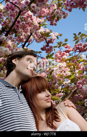 Romantische junge Paar stehen unter Cherry Blossom tree Stockfoto