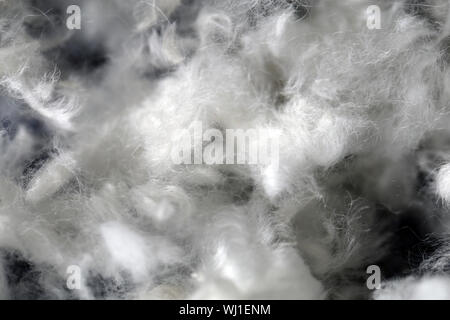 Bündel von Pudel Haar nach dem Schneiden ein weißer Pudel Hund. Schön, abstrakte Textur der Pelz in einem closeup Makro Bild. Weißen Fell auf eine blaue Fläche. Stockfoto