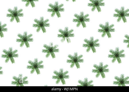 Kreative Weihnachten Muster aus natürlichen grünen Tannenbaum Äste wie Schneeflocken auf weißem Hintergrund, isoliert. Stockfoto
