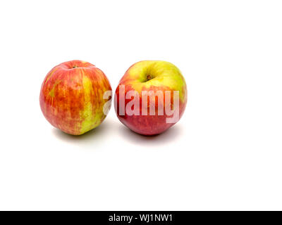 Zwei Elstar Äpfeln auf weißem Hintergrund. Selektive konzentrieren. Stockfoto