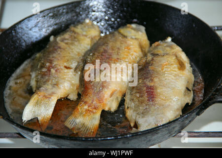 Drei gebratene Karauschen auf Pan. Kochen gebratenen Fisch. Teller gebratenen Karauschen. Köstliche Fluss Fisch. Drei frische Karausche auf pan liegt. Gebratenen Fisch. Stockfoto