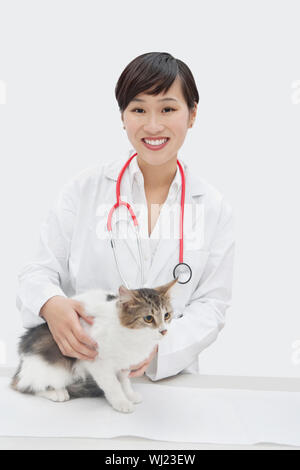 Porträt von weiblichen Tierarzt mit Katze vor grauem Hintergrund Stockfoto