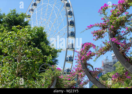 Riverfront Metropolis, Subtropische Urban Oasis, Brisbane, Australien Stockfoto