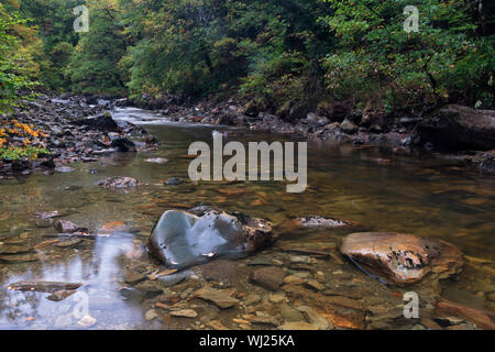 Fluss Gewinnen (Afon Gain) im Coed-y-Brenin Forest Park. Stockfoto