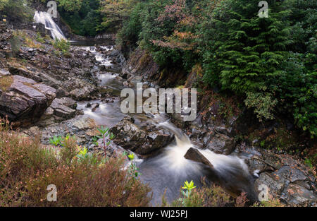 Rhaeadr Mawddach Wasserfall und Weiß auf dem Fluss Gewinnen (Afon Gain) im Coed-y-Brenin Forest Park. Stockfoto