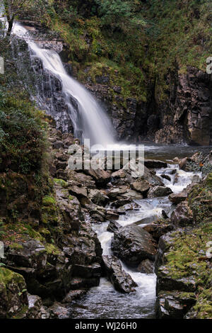 Rhaeadr Mawddach Wasserfall auf dem Fluss Gewinnen (Afon Gain) im Coed-y-Brenin Forest Park. Stockfoto