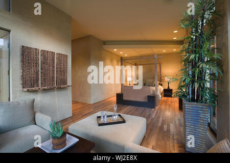 Geräumiges Wohnzimmer Interieur mit Bambus Zimmerpflanze Stockfoto