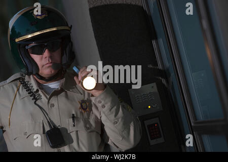Im mittleren Alter Verkehrspolizist Untersuchung mit Taschenlampe in der Nacht Stockfoto