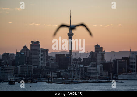 Auckland Skyline, Ansicht von Devonport, bei Sonnenuntergang Stockfoto