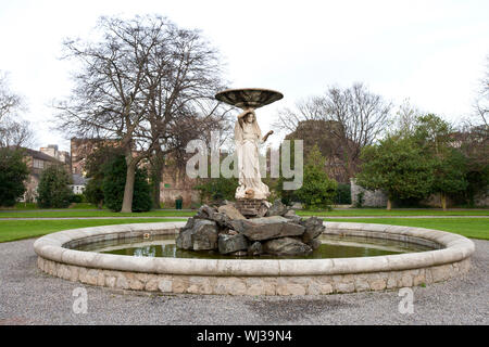 Brunnen in Iveagh Gardens, Dublin Stockfoto