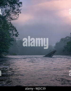 Misty Morning auf einer tropischen Fluss mit einem riesigen Felsblock in der Mitte von einem Bach im Dschungel von Lateinamerika. Stockfoto