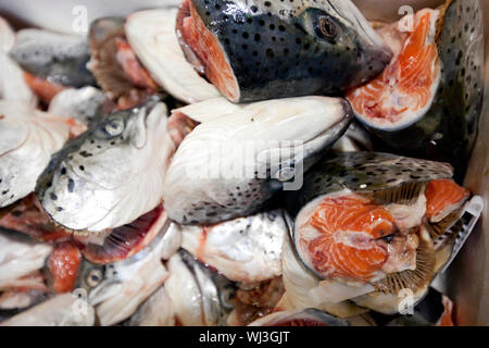 Nahaufnahme der gehackte Fische im Markt Stockfoto